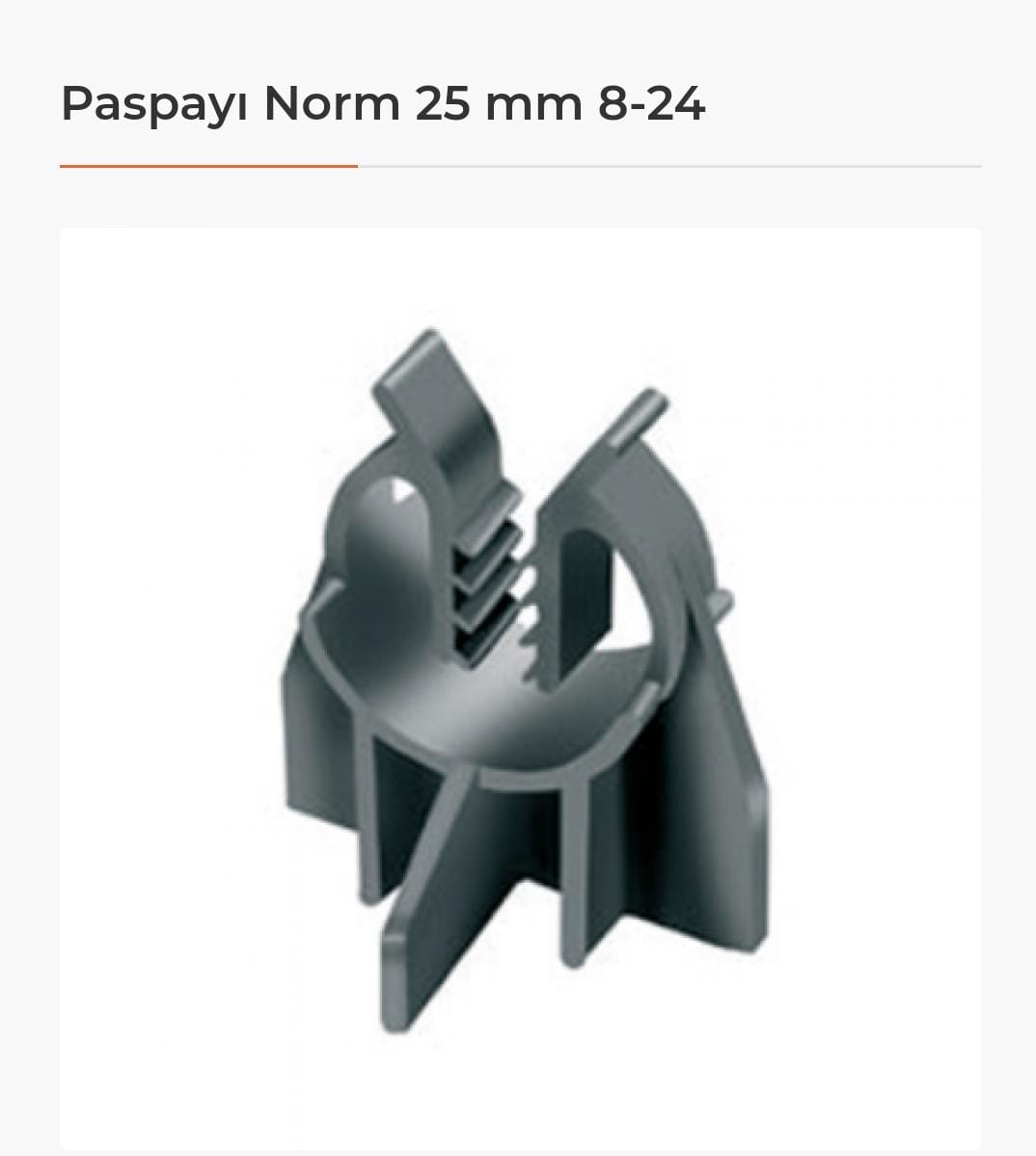 PASPAYI NORM 25 MM